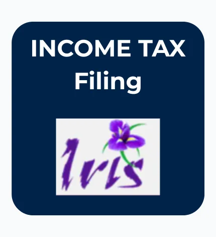 INCOME TAX Filing